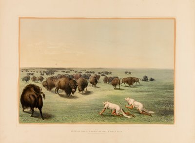  av George Catlin