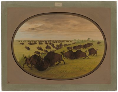 Okser som kjemper av George Catlin
