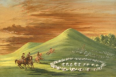  av George Catlin
