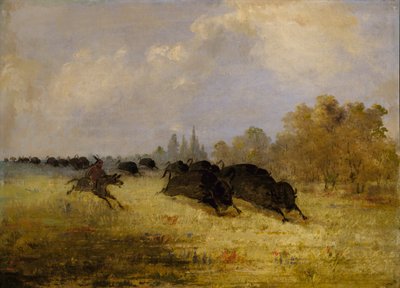  av George Catlin