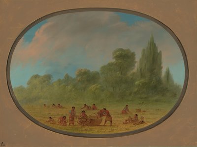 Caddo-indianere som samler ville jordbær, 18611869. av George Catlin
