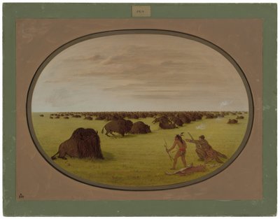 Catlin og Indian Attacking Buffalo av George Catlin