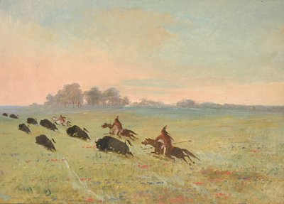  av George Catlin