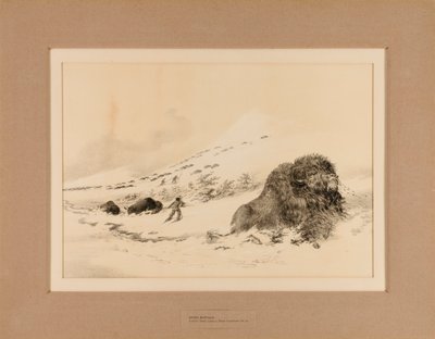  av George Catlin