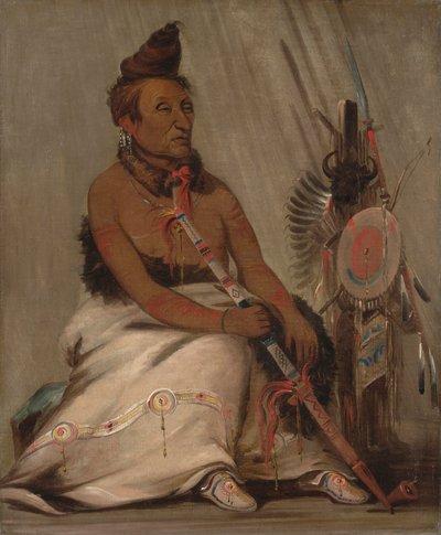 av George Catlin