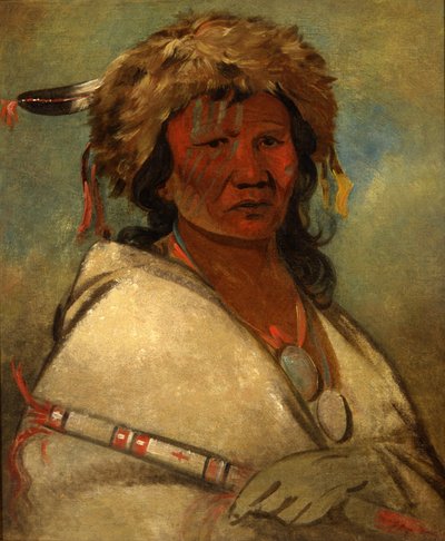  av George Catlin