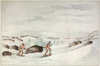 Jakt bøffel på snøsko av George Catlin