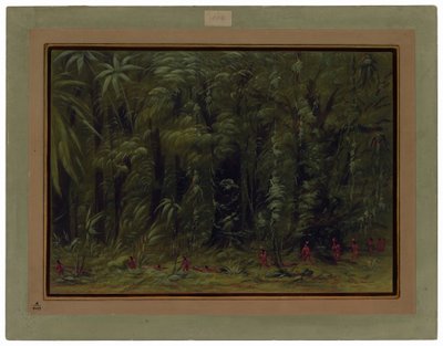 Interiør i en Amazonasskog - Zurumati av George Catlin