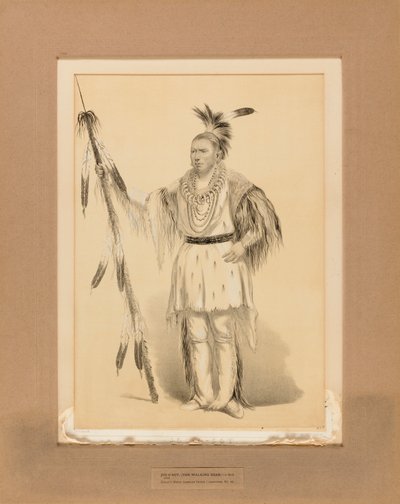  av George Catlin