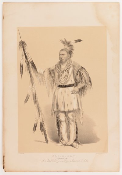  av George Catlin