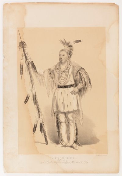  av George Catlin