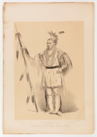 Joc-o-sot, den vandrende bjørnen av George Catlin