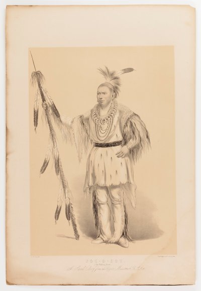  av George Catlin