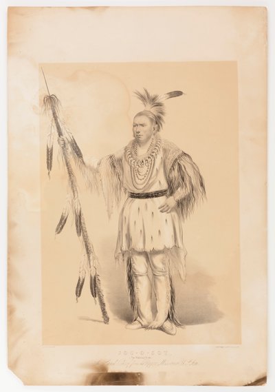  av George Catlin