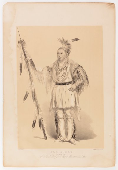  av George Catlin