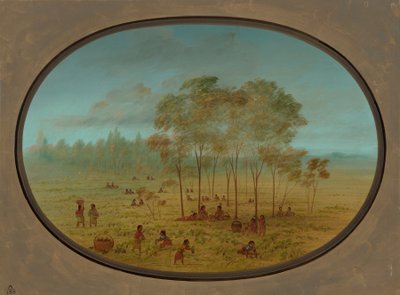 Kiowa-indianere som samler ville druer, 18611869. av George Catlin