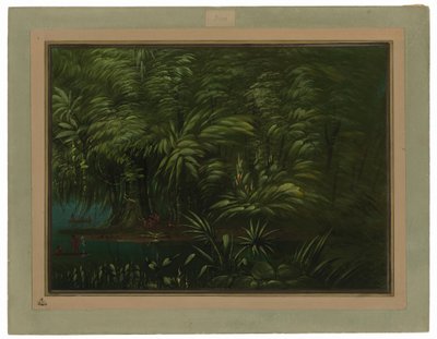 frodig skog på bredden av Amazonas av George Catlin