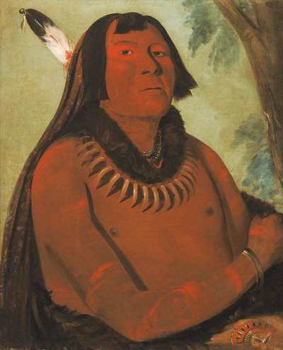 Mah-táhp-ta-a, suser gjennom midten, en modig av George Catlin