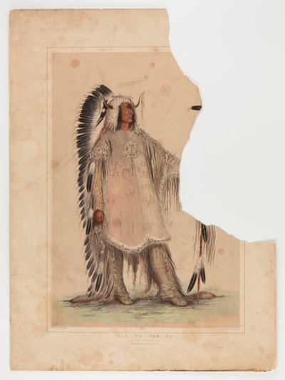  av George Catlin