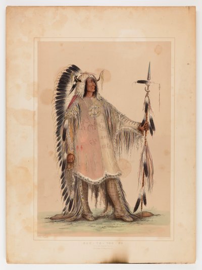  av George Catlin