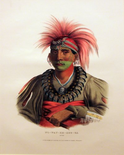  av George Catlin