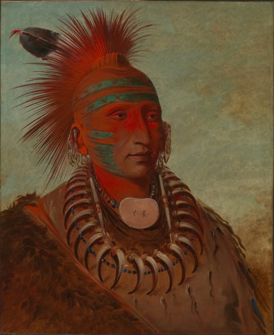  av George Catlin