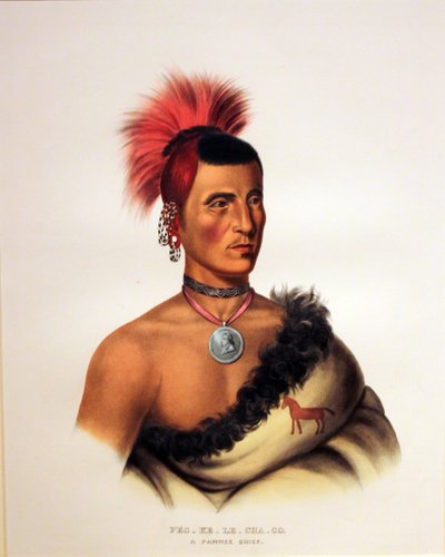 Pawnee Chief Paes K Lech av George Catlin