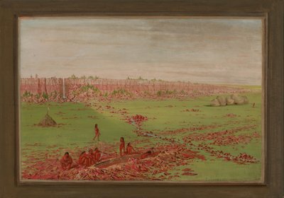  av George Catlin