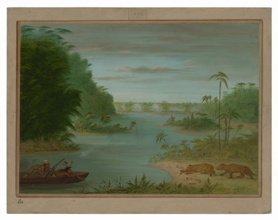 Pont de Palmiers og tigerskyting av George Catlin