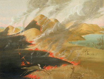  av George Catlin