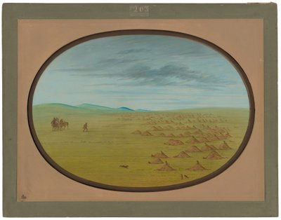 Prairie Dog Village av George Catlin