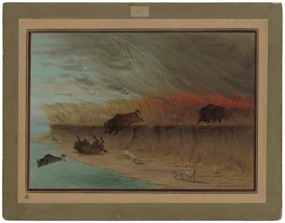 Prairie Meadows brenner av George Catlin