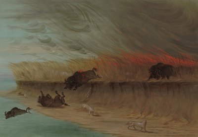 Prairie Meadows Burning, 18611869. av George Catlin