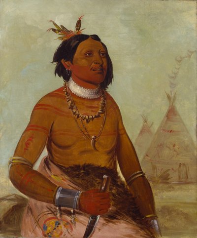 Steinskall, en modig av George Catlin