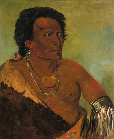 Sky-se-ró-ka, Stammens andre høvding av George Catlin