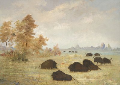  av George Catlin