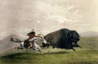 The Buffalo Chase "Singling Out", pub. av Currier og Ives av George Catlin