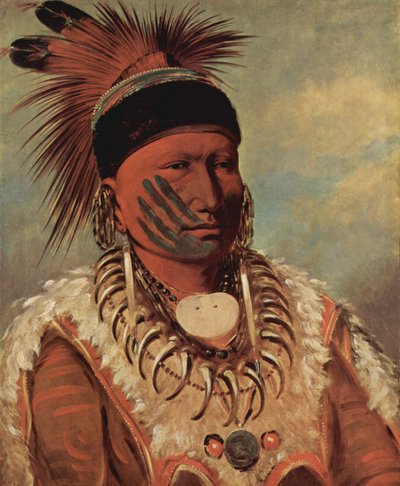  av George Catlin
