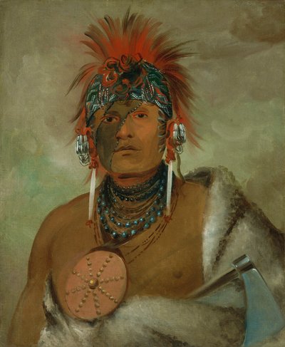 Kom igjen, ingen tosk, en stor tosk av George Catlin