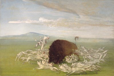  av George Catlin