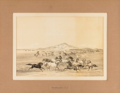  av George Catlin