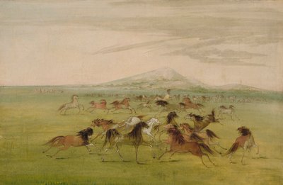  av George Catlin