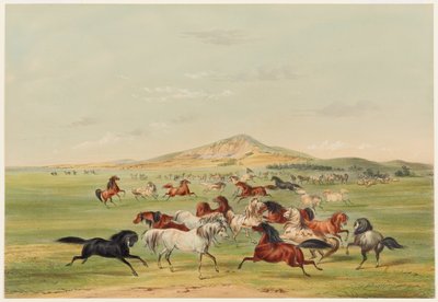 Ville hester i lek av George Catlin