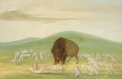  av George Catlin