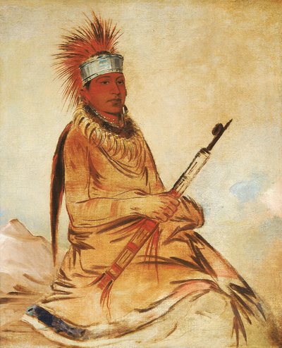  av George Catlin