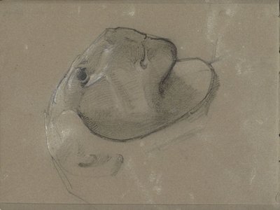 Løvehode, antagelig etter en skulptur av George Clausen