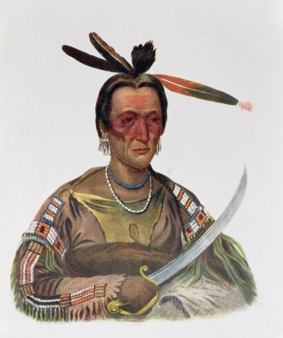To-Ka-Cou, en Yankton Sioux-sjef, 1837, illustrasjon fra 