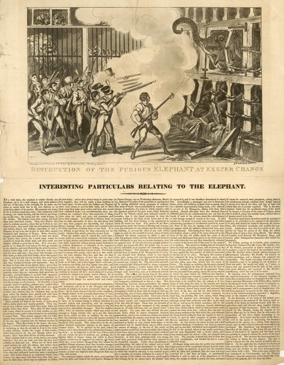 Ødeleggelse av den rasende elefanten ved Exeter Change av George Cruikshank