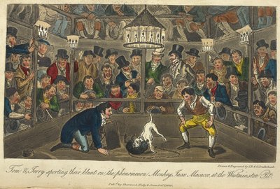 "Tom og Jerry praktiserer fenomenet Monkey,Jacco,Maccaco, ved Westminster pit." Hundekamp, 