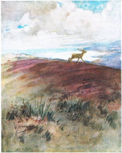 Luften var nær og tung da han galopperte ned fra ryggen (farge litho) av George Denholm Armour